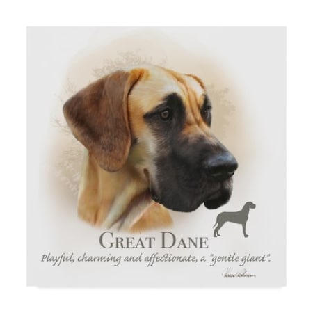 Howard Robinson 'Great Dane' Canvas Art,35x35